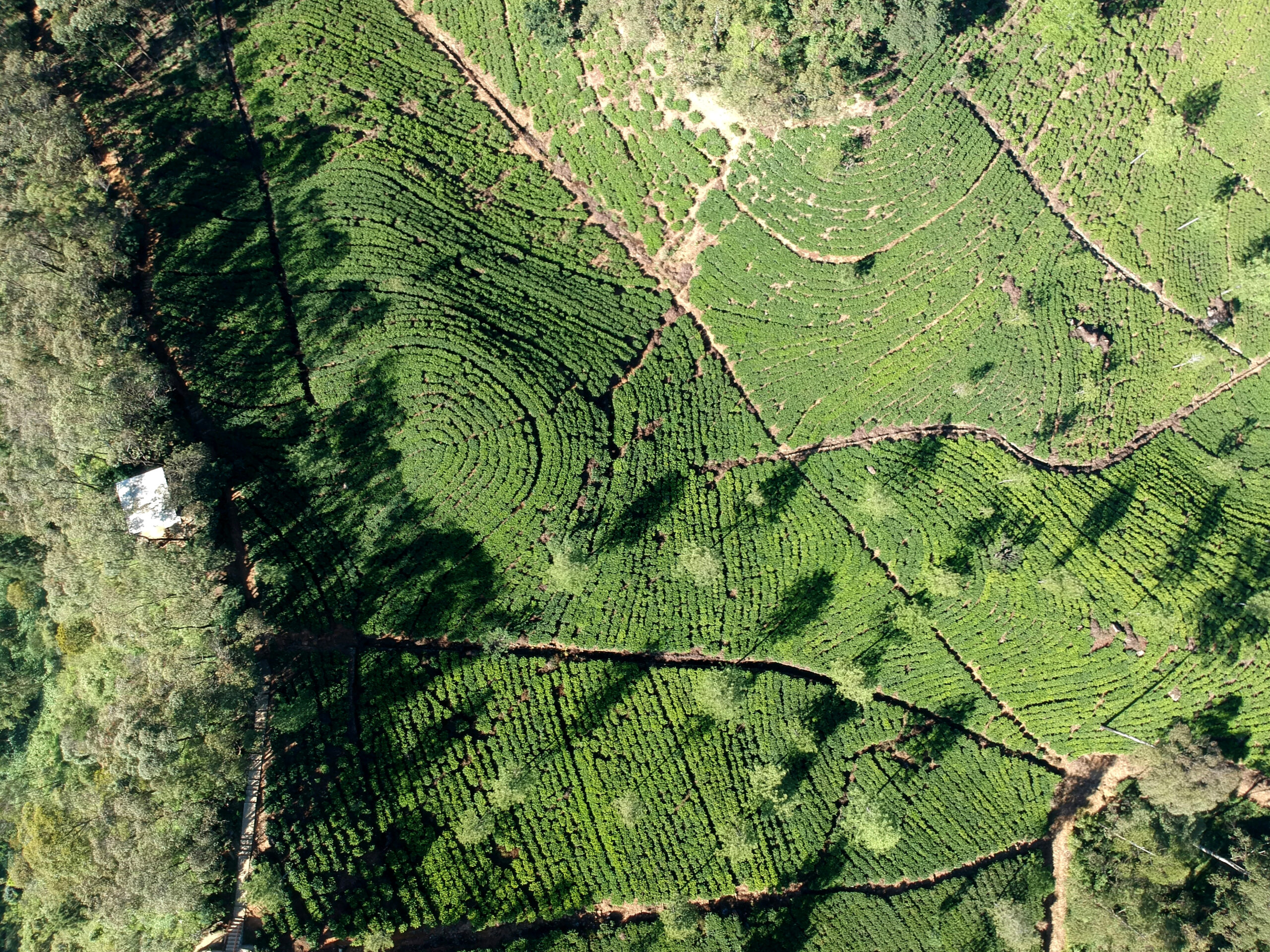 petr-sevcovic-tm_upnO7wro-unsplash